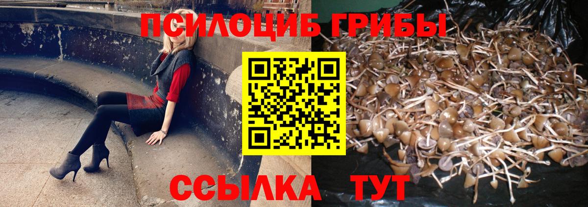 Галлюциногенные грибы мухоморы Вольск